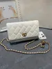 Top Quality Shoulder bags Fish scale Gold Chain Underarm Luxury handbags Luxury designer Multifunctional wallet Original box Women Purse