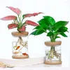 Vases 1PC Hydroponic Plant Transparent Plastic Vase Self-Absorbing Water Flower Pot Simple Style Indoor Office Tabletop Ornament