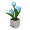 Luzes noturnas LED Tulipe Bedside Desk Light Usb Charging Simulation Flower Reading Flowerpot Paste 3V/300mAh para casamento Valentines Presente