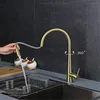 Kitchen Faucets Design Faucet Modern North American Sink Cold And Brass Pull Type Rotary Brushed Gold