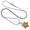 Pendentif Colliers Shiny Star Pet Avec Cristal Au Milieu Memorial Médaillon Custom Making Collier Bijoux Crémation Urne Souvenir Femmes Cadeaux