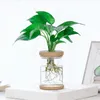 Vases 1PC Hydroponic Plant Transparent Plastic Vase Self-Absorbing Water Flower Pot Simple Style Indoor Office Tabletop Ornament