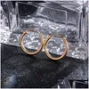 Dangle Chandelier Luxury Small Earring Circle Round Earrings For Women Men Party Ear Ring Charm Jewelry Wholesale D Dhgarden Dhvdy