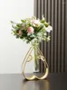 Vazen transparante glasvaasdecoratie woonkamer gedroogde bloemen bloemcontainer decoratieve creatieve eenvoudige waterteelt