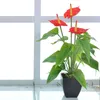 Fleurs décoratives Bonsai Simulation Plant Green Calla Flower Artificial Babies Breath Bulk