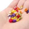 Kwiaty dekoracyjne 200pcs prawdziwy suszony Brazylia Little Star Flower for DIY Art Craft Epoksyd Candle Making Biżuter