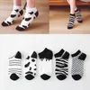 Calzini da donna 5 paia di colori Primavera ed estate Cotone da donna Zebra Milk Corto Nero Bianco Strisce stile Cute Panda Color