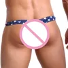 Cueca masculina cueca de roupas íntimas de tangas de biquíni bandeira de algodão EUA baixa cintura gay pênis bolsa de moda tanga