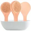 Dry Bath Body Brush Back Scrubber Anti-halk Kort trähandtag Naturliga borst Dusch Exfolierande Massager Brush S12