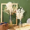 Dekorativa blommor naturligt torkat svansgräs lagurus ovatus för boho dekor pampas bröllop blommor arrangemang
