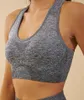 Camicie attive Sports Ombre Top senza cuciture per allenamento di alta qualità Fitness Crop Top Reggiseno push-up imbottito Yoga Palestra da donna