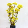 装飾的な花50g天然キビのフルーツドライフローウェディングデコレーションギフト用ゲストパンパステディベアピンクのための人工植物