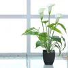 Fleurs décoratives Bonsai Simulation Plant Green Calla Flower Artificial Babies Breath Bulk