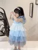 Customized Kids Girls Princess Dress Childrens Girl's Dresses Fashion Summer Petal Wedding Cothes