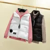 Women's Vests Women Warm Cotton Vest Autumn Winter Korean Coat Women's Sleeveless Top Down Jacket Bread Clothes Cardigan Fashion Leisure