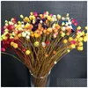 Fiori secchi 300 pezzi / 0,3 cm testa reale naturale mini ramo di fiori felici bouquet secco in miniatura per gioielli in resina fai da te decorazioni per la casa F121 Dh5Lz