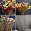 Fiori secchi 300 pezzi / 0,3 cm testa reale naturale mini ramo di fiori felici bouquet secco in miniatura per gioielli in resina fai da te decorazioni per la casa F121 Dh5Lz