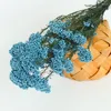 Fleurs décoratives 50g de millet naturel Fleur séchée Décorations de Noël artificielles pour la maison 2023 Cadeau de mariage mariée