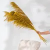 装飾的な花80cm 5不滅のリードドライフラワーロングポールネットレッドキャッツラージスパイクライトラグジュアリーホームデコレーションフロアウィンドウ
