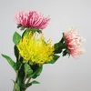 Kwiaty dekoracyjne 73 cm sztuczny plastikowy plastikowy pincushion kwiat gałąź król protea faux tropikalna roślina