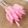 Decorative Flowers Natural Dried Tail Grass Lagurus Ovatus For Boho Decor Pampas Wedding Flower Arrangements