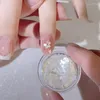 Nail Glitter Manicure Powder Solid Nude Color Ice Transparent Net Red Magic Mermaid Mirror Set Holographic Tool