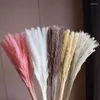 Dekorativa blommor Pampas Wedding Feather Bunch Grass Phragmites Torkad Ramadan Decoration Boho Home Decor