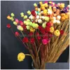 Fiori secchi 300 pezzi / 0,3 cm testa reale naturale mini ramo di fiori felici bouquet secco in miniatura per gioielli in resina fai da te decorazioni per la casa F121 Dh5Lz