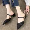 Sandals Female Thick Middle Heel Large Size Pointed Toe Hollowed Out Mesh Elegant Women Shoes Chaussure Femme Petit Talon