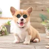 Hondenauto -zitplaatsen 1 pc's huisdier zonnebril retro ronde metalen puppy cosplay brillen brillen po props voor katten en klein tot medium