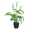 Fleurs décoratives Bonsai Simulation Plant Green Calla Flower Artificial Babies Breath Bulk