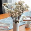 Decorative Flowers 50g Natural Millet Fruit Dried Flower Living Room Wedding Decoration Artificial Swedding Gifts For Guest Teddy Bear