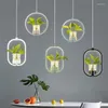 Pendant Lamps Nordic Plant Chandelier Creative Personality Restaurant Shop Commercial Industrial Style Decoration Acrylic Bar Small