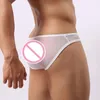 Underpants Brave Person Mens Mesh Briefs Solid Nylon Tanga Hombre Low Waistline Sexy Transparent Calzoncillos