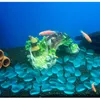 Dekorativa föremål Figurer Aquarium Fish Tank Landscaping Decoration Bridge Landscape Ornament Pavilion Tree Plant Harts Pet Supplies 230515