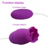 USB充電愛の卵を吸う舌バイブレーターニップル吸盤ボディマッサージャー乳房拡大女性のための大人の商品おもちゃを拡大する