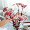 Decorative Flowers 50g Natural Millet Fruit Dried Flower Living Room Wedding Decoration Artificial Swedding Gifts For Guest Teddy Bear