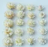 Decorative Flowers Daisy Straw Chrysanthemum Gomphrena Dry Real Head Handmade Flower Material Wholesale DIY