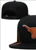 2023 All Team Fan's USA College Baseball Adjustable Longhorns Hat On Field Mix Order Size Closed Flat Bill Base Ball Snapback Caps Bone Chapeau A0