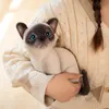 ぬいぐるみのようなシャム猫のぬいぐるみおもちゃシミュレーションアメリカンショートヘアのかわいい子猫ペットおもちゃの家の装飾ギフト女の子のためのギフト