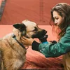 Hondenwaterfles BPA Gratis draagbare hondenwaterfles | Lekbestendige draagbare hondenwaterfles voor wandelen en reiswasher veilig