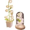 Partyspiele Basteln Glocke Orchidee Kleines Nachtlicht freiwillig handgefertigt DIY gewebtes Windspiel eingetopft künstliches Blumenmaterial Weihnachten kreatives Geschenk 230517