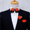 Bow Ties Crystal Tie Set For Men's Women's Business Suit Accessories Collar Flowers Vintage Wedding Bowtie Pocket Handduk