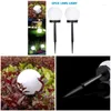 2st LED Solar Ball Lamp Garden Lamps With Ground Spike för uteservering