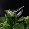 Équipements d'arrosage mode système d'irrigation goutte à goutte automatique plantes à pointes automatiques fleur intérieur ménage abreuvoirs bouteille