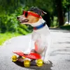 Housses de siège de voiture pour chien casques pour animaux de compagnie casque de moto avec trou d'aération réglable respirant sangle légère pour l'équitation