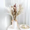 Fleurs décoratives 72pcs fleur séchée naturelle préservée-queue pampa herbe bouquet bricolage mariage Boho décor à la maison fond de vacances