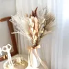 Fleurs décoratives 72pcs fleur séchée naturelle préservée-queue pampa herbe bouquet bricolage mariage Boho décor à la maison fond de vacances