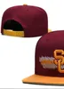 2023 All Team Fan's USA College Michigan Baseball Regulowany kapelusz Wolverines na polu Mieszanka Zamówienie Rozmiar Zamknięte płaskie rachunki BACE Snapback Caps Bone Chapeau A2