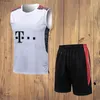 23 24 Bayern de Munique Futebol Tracksuits DE LIGT SANE 2023 2024 Camisa de Futebol GORETZKA GNABRY Camisa de Futebol KIMMICH Homens Adulto Colete Conjunto de Treinamento Polo Calças